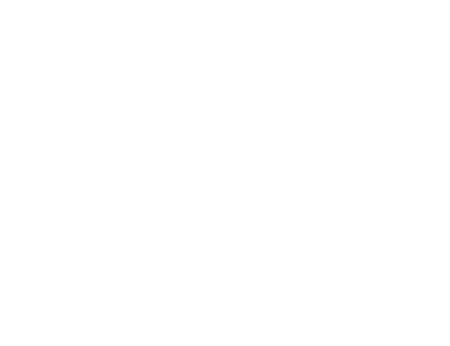 Festival Internacional